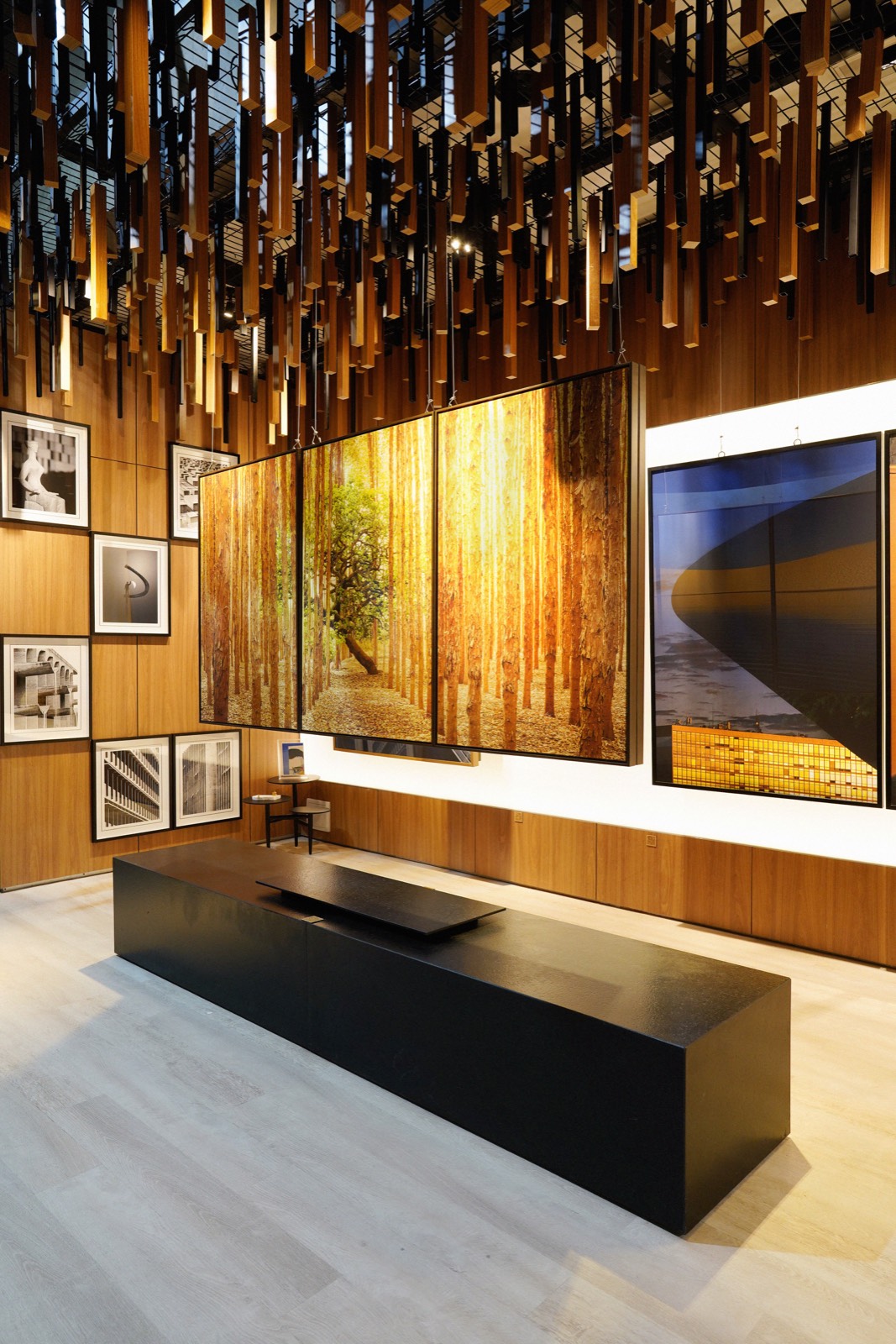 Galeria Celso Júnior, Brasília, DF