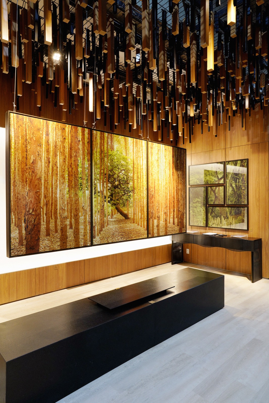 Galeria Celso Júnior — imagem 2