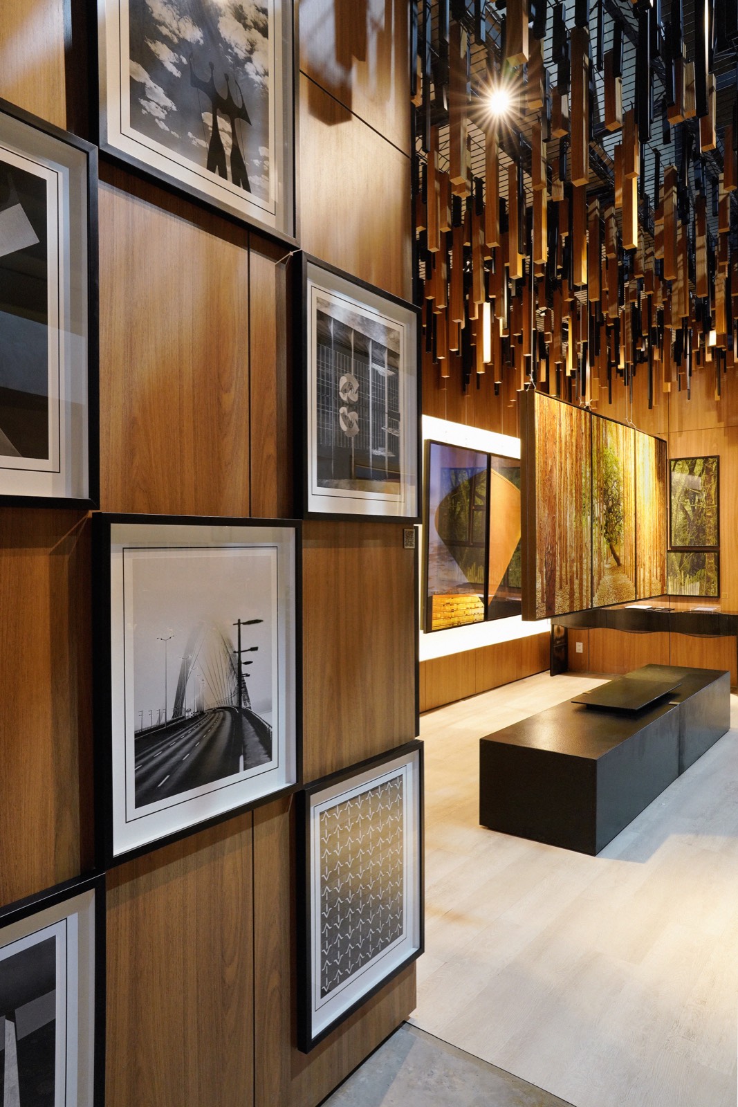 Galeria Celso Júnior — imagem 7