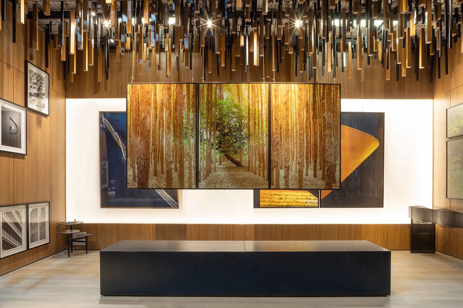Galeria Celso Júnior — imagem 12
