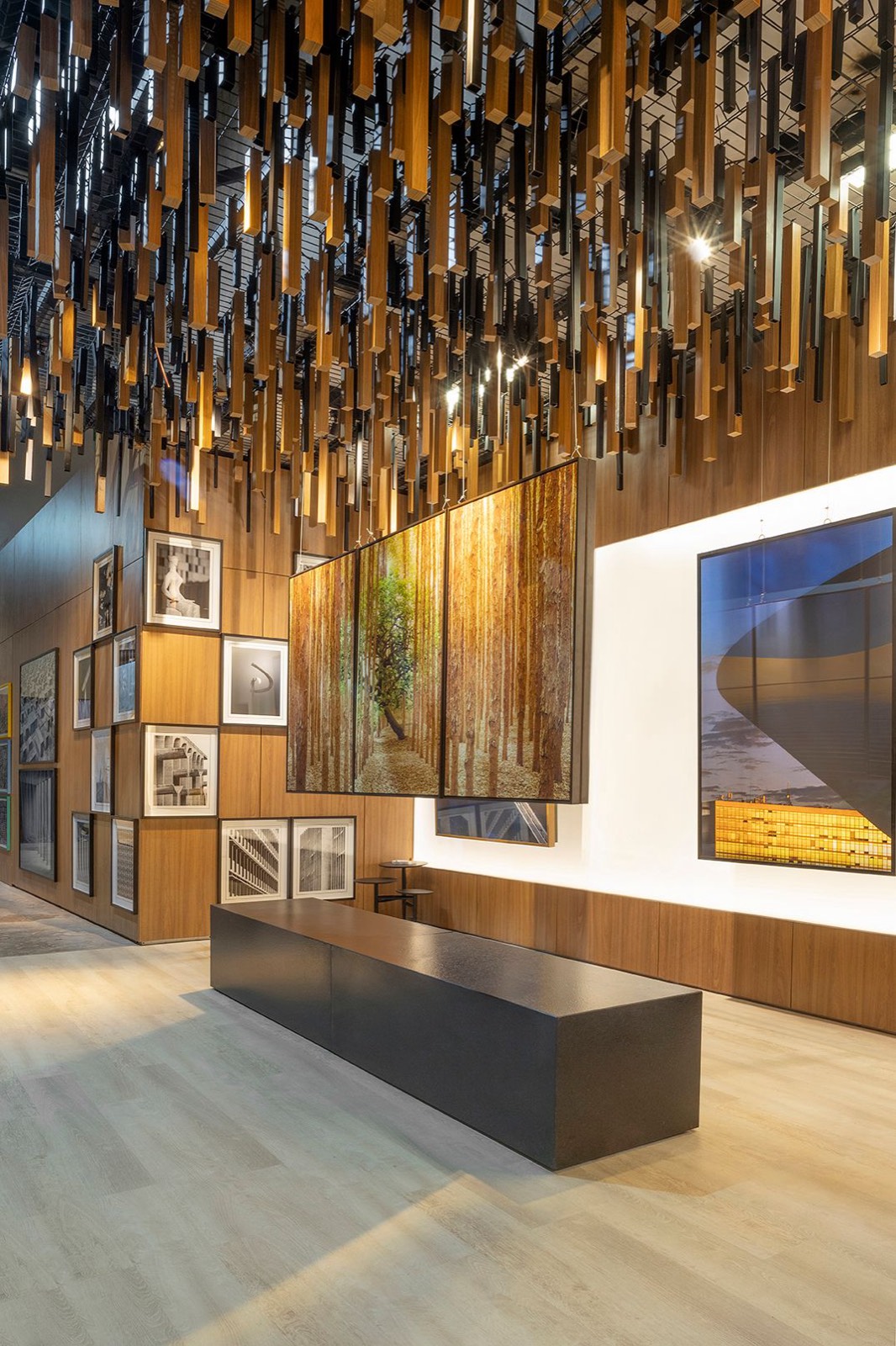 Galeria Celso Júnior — imagem 14